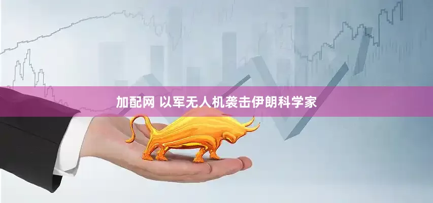 加配网 以军无人机袭击伊朗科学家