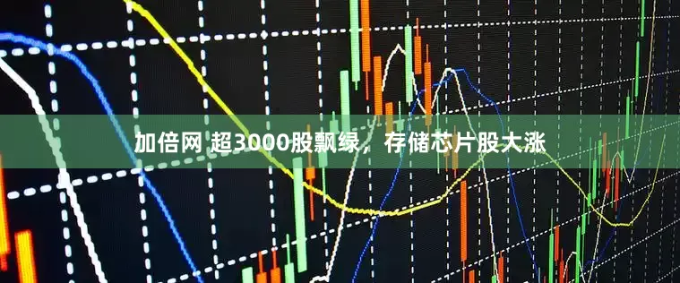加倍网 超3000股飘绿，存储芯片股大涨