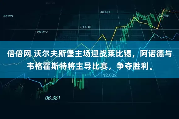 倍倍网 沃尔夫斯堡主场迎战莱比锡，阿诺德与韦格霍斯特将主导比赛，争夺胜利。